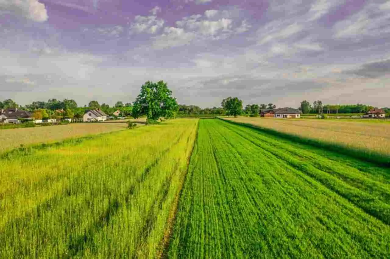 Hai un terreno agricolo, come si calcola il suo valore? I fattori che lo determinano