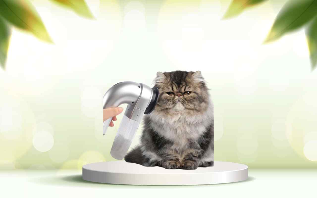 Elimina i peli degli animali in casa con SpazzolAmica: scopri l’offerta ora