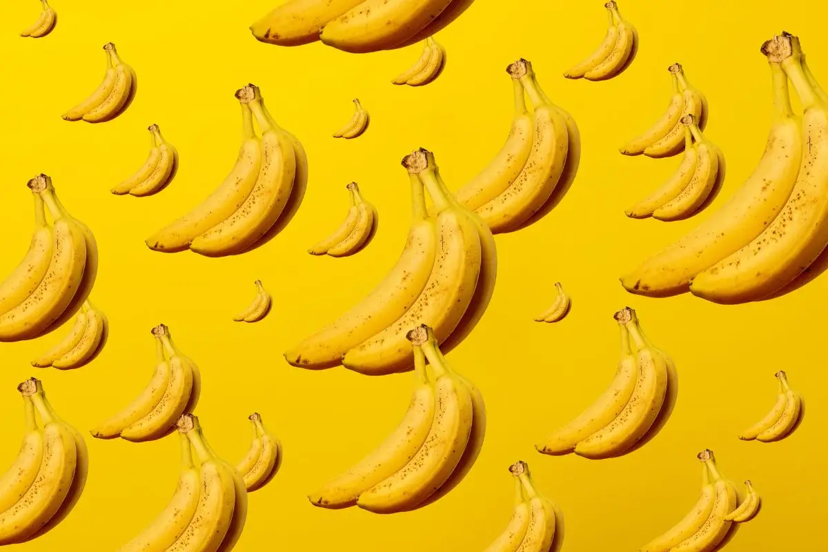Mangiare banane ogni giorno: ecco cosa succede al corpo