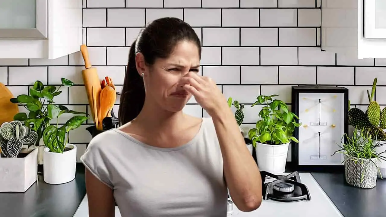 Quali sono gli odori che eliminano la puzza di fumo in casa? Non coprirla, neutralizzala così